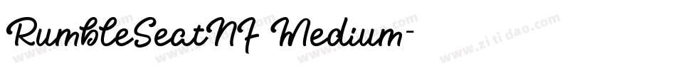 RumbleSeatNF Medium字体转换